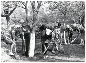 photo004.png